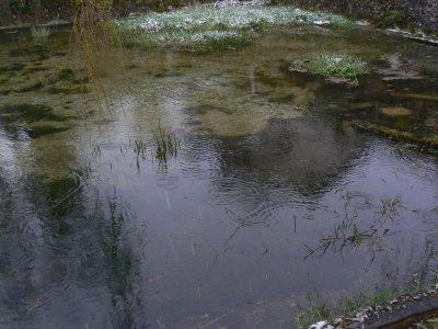 P1050403.JPG