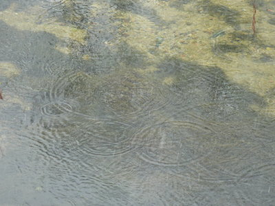 P1050456.JPG