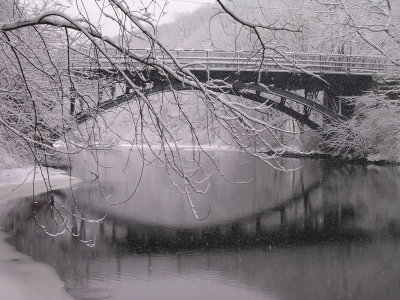 DSCN2100.JPG