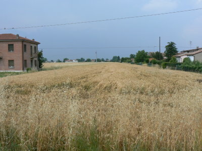 P1010171.JPG