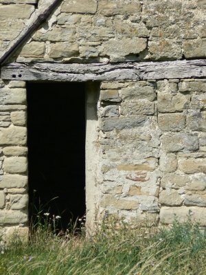 P1010481.JPG