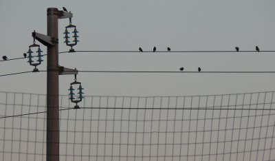 P1030743b.jpg