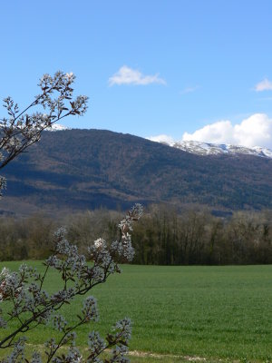 P1050474.JPG
