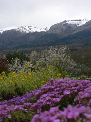 P1050477.JPG
