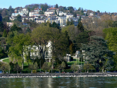 P1050576b.jpg