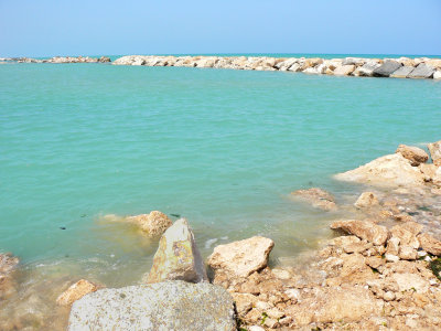 P1050669b.jpg
