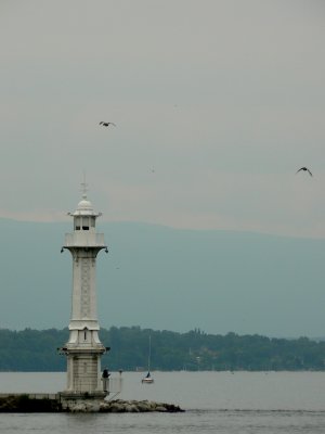 P1060150b.jpg