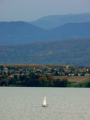 P1070955b.jpg