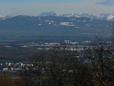 P1080404.JPG