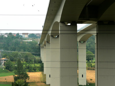 P1010246b.jpg