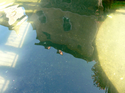 P1120680B.jpg