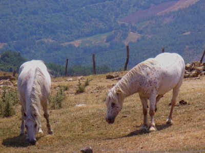 Tuscany