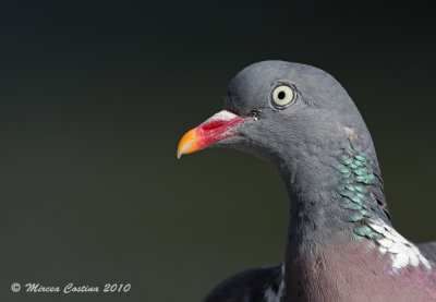g1/41/763041/3/126518123.AmYI0oFI.jpg