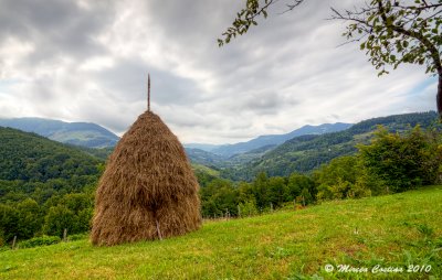 Apuseni Mountains, Cris Village-M.Metaliferi-Romania