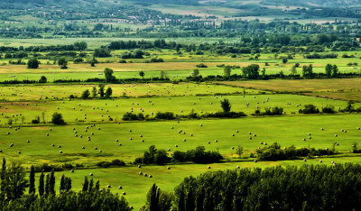 Hungarian Landscape