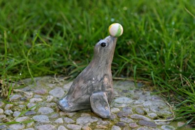seal