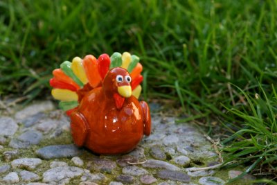 turkey