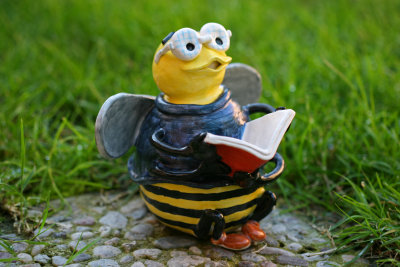 spelling bee
