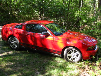 mustang rental