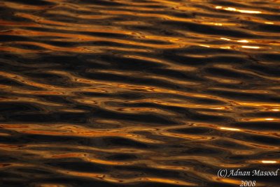 Sun and Water patterns - 001.JPG
