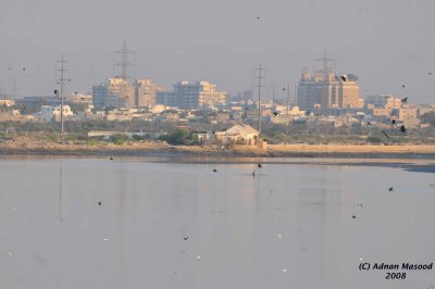 Karachi-36.jpg