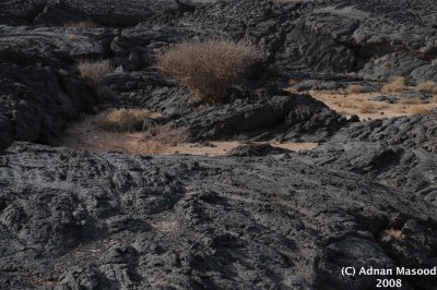 016_Lava_fields.jpg