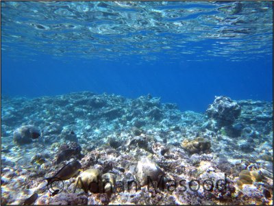 Red_Sea_021.jpg