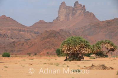 Dissa_001.jpg