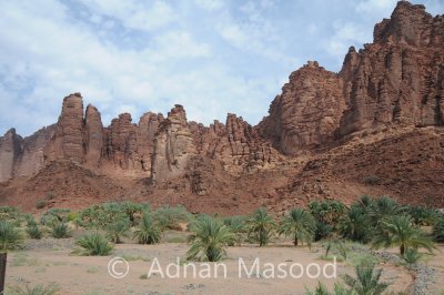 Dissa_005.JPG