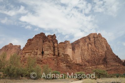 Dissa_008.JPG