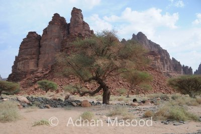 Dissa_009.JPG