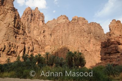 Dissa_030.JPG