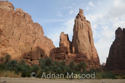 Dissa_032.JPG