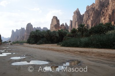 Dissa_036.JPG