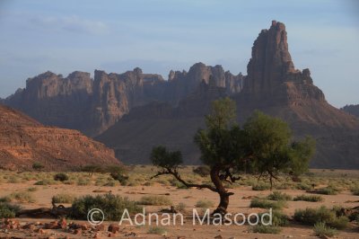 Dissa_048.JPG