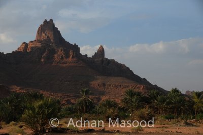 Dissa_050.jpg