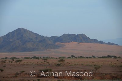 Dissa_051.JPG