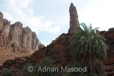 Dissa_018.JPG
