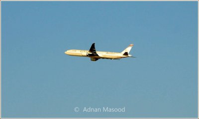 Etihad_Air.jpg