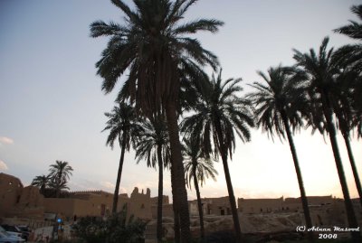 26-Diriyah under Palm.JPG