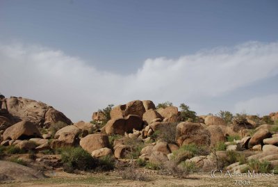 24 - Al-Shafa Valley Shobaat - May 08.JPG