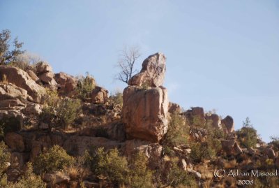 37 - Al-Ghazzal Valley - May 08.jpg