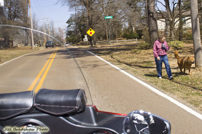 35 Bozo BBQ Ride.jpg