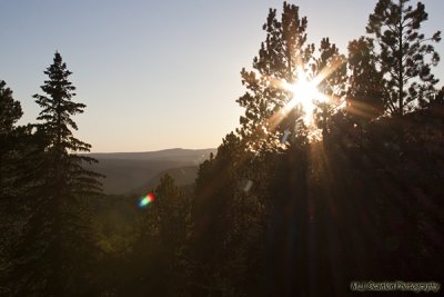 2010 Sturgis 259.jpg