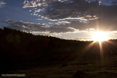 2010 Sturgis 269.jpg