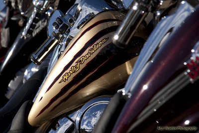 2010 Sturgis 292.jpg