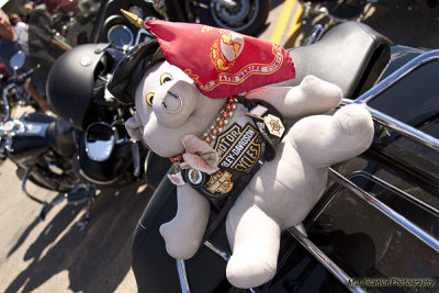 2010 Sturgis 299.jpg