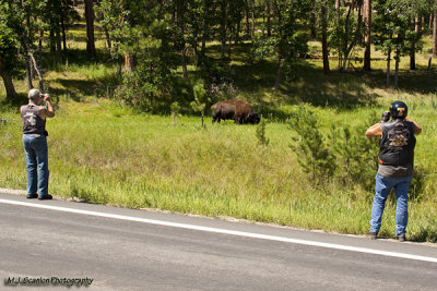 2010 Sturgis 358.jpg
