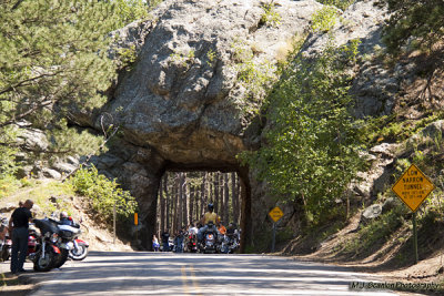 2010 Sturgis 360.jpg