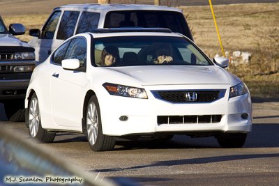 25 Olive Branch Catfish Ride.jpg